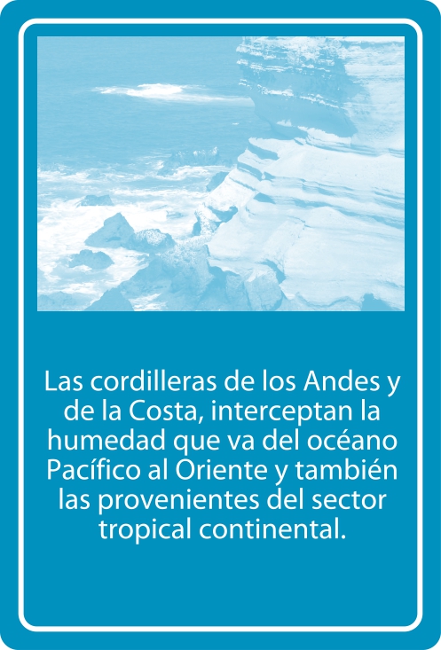 Portada Reverso